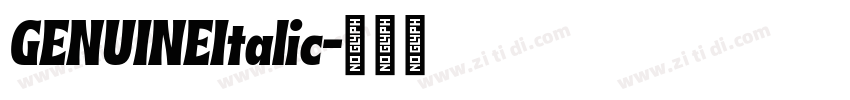 GENUINEItalic字体转换 GENUINEItalic字体转换