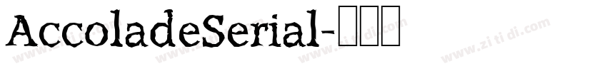 AccoladeSerial字体转换