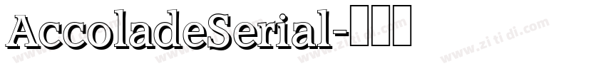 AccoladeSerial字体转换