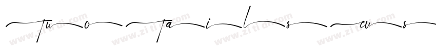 TwoTailsCustomeFont字体转换