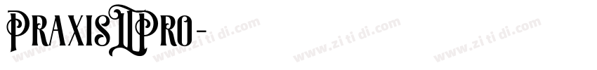 PraxisLTPro字体转换