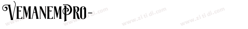 VemanemPro字体转换