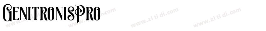GenitronisPro字体转换