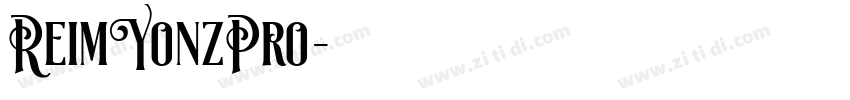 ReimYonzPro字体转换