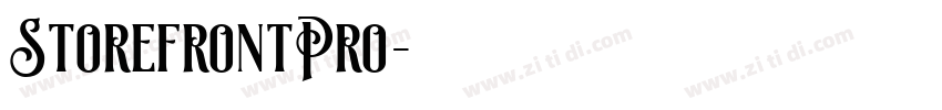 StorefrontPro字体转换