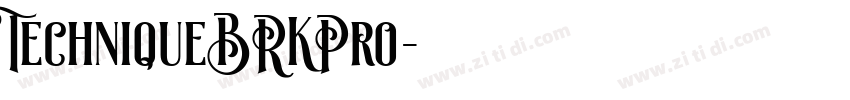 TechniqueBRKPro字体转换