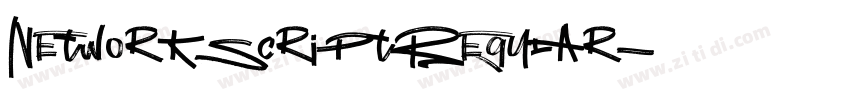 NetworkScriptRegular字体转换