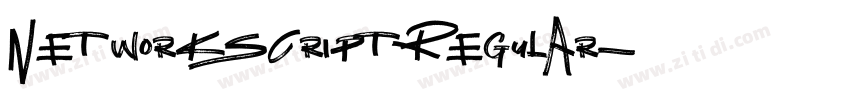NetworkScriptRegular字体转换