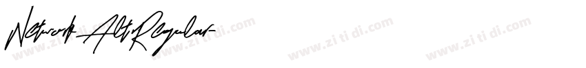 NetworkAltRegular字体转换