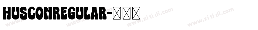 HusconRegular字体转换