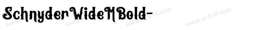 SchnyderWideMBold字体转换