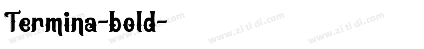 Termina-bold字体转换