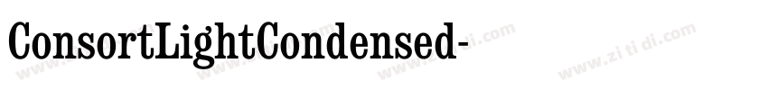 ConsortLightCondensed字体转换