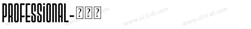 professional字体转换