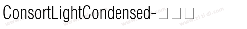 ConsortLightCondensed字体转换