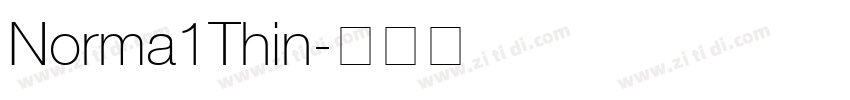 Norma1Thin字体转换