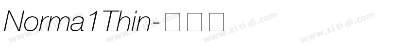 Norma1Thin字体转换