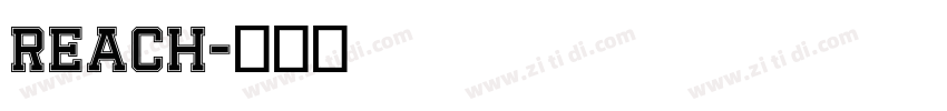 reach字体转换