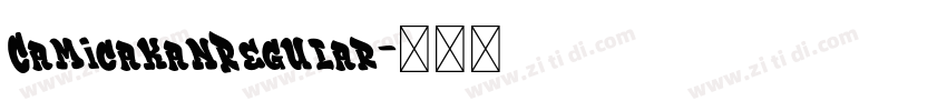 CamicakanRegular字体转换