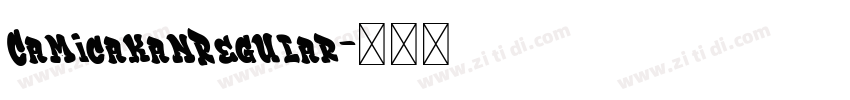 CamicakanRegular字体转换
