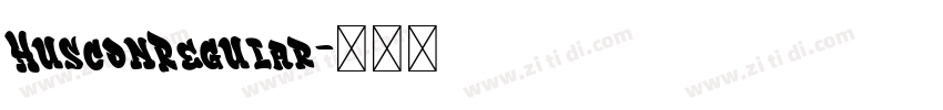 HusconRegular字体转换