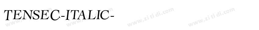 TenseC-Italic字体转换
