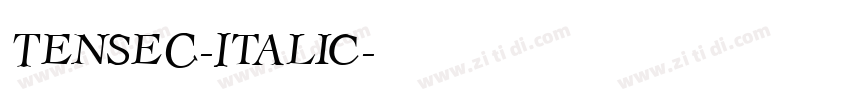 TenseC-Italic字体转换