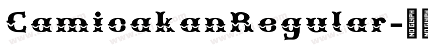 CamicakanRegular字体转换