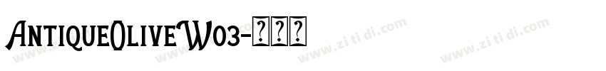 AntiqueOliveW03字体转换