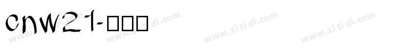 cnw21字体转换