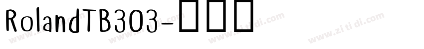RolandTB303字体转换