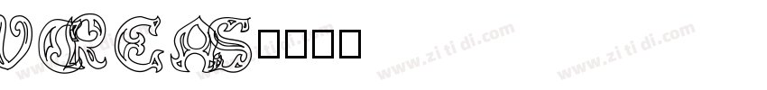 VCREAS字体转换