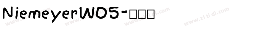 NiemeyerW05字体转换