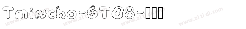 Tmincho-GT08字体转换
