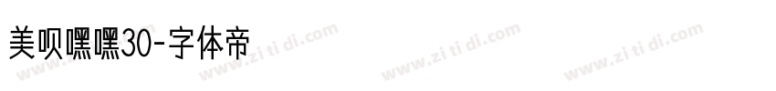 美呗嘿嘿30字体转换