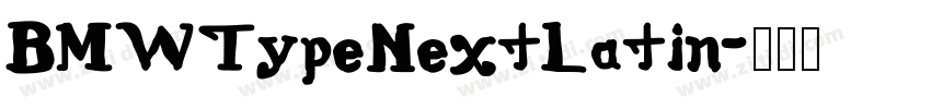 BMWTypeNextLatin字体转换