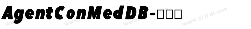 AgentConMedDB字体转换