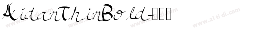 AidanThinBold字体转换