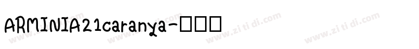 ARMINIA21caranya字体转换