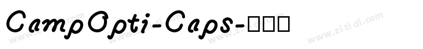 CampOpti-Caps字体转换