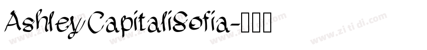 AshleyCapitaliSofia字体转换