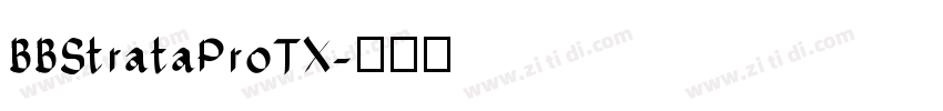 BBStrataProTX字体转换