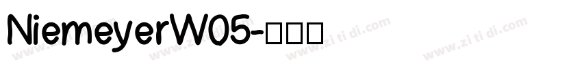 NiemeyerW05字体转换