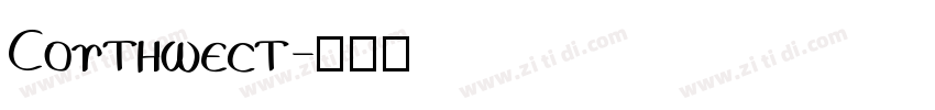 Southwest字体转换