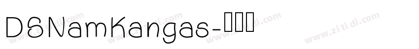 DSNamKangas字体转换