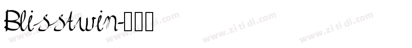 Blisstwin字体转换