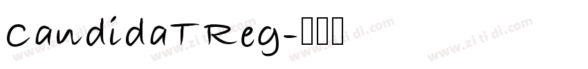 CandidaTReg字体转换