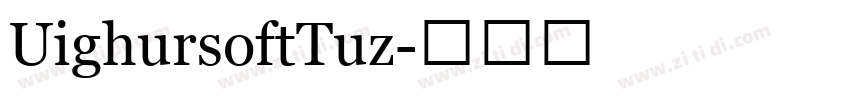 UighursoftTuz字体转换