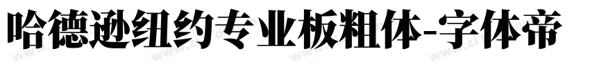 哈德逊纽约专业板粗体字体转换