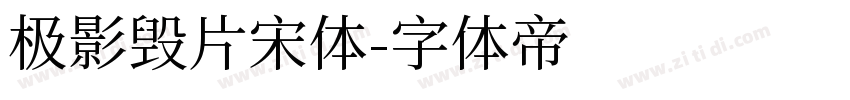 极影毁片宋体字体转换